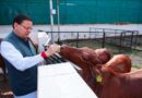 सीएम धामी ने आम जन से अपील की कि वे भी गोवर्धन पूजा के पावन पर्व को भक्ति और पर्यावरण संरक्षण के रूप में मनाएं